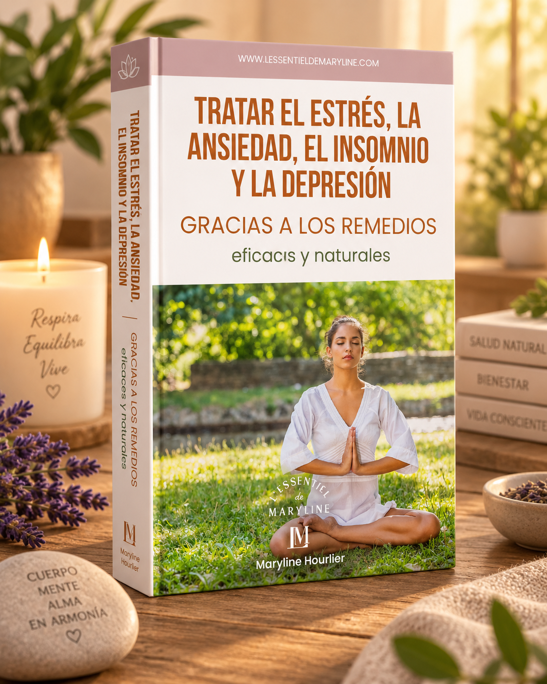 Ebook Managing stress, anxiety, insomnia, and depression