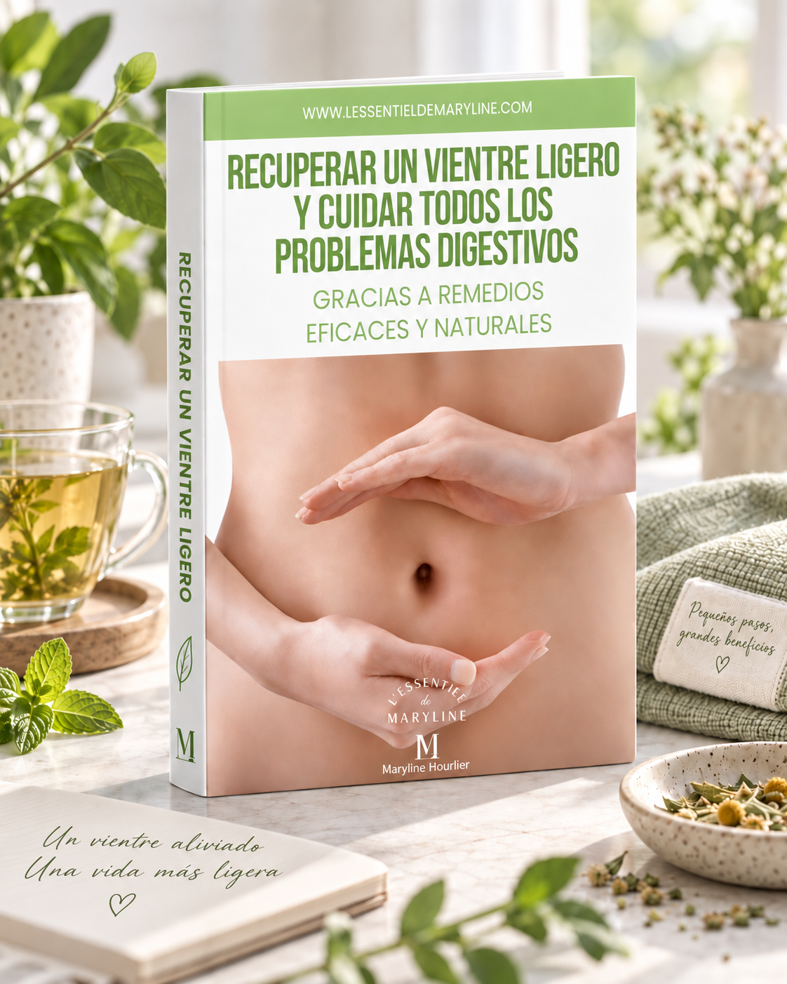 Ebook Soulager les maux digestifs et garder un ventre léger avec des remèdes naturels