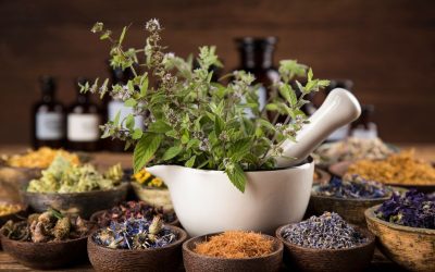 Discover the Power of Natural Healing with Wellness eBooks