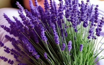 Gérer l’Insomnie avec 3 Plantes Naturelles
