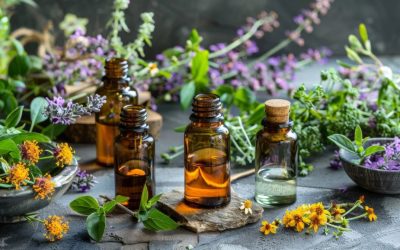 Manage Insomnia with 3 Powerful Plants – Natural Sleep Support Guide